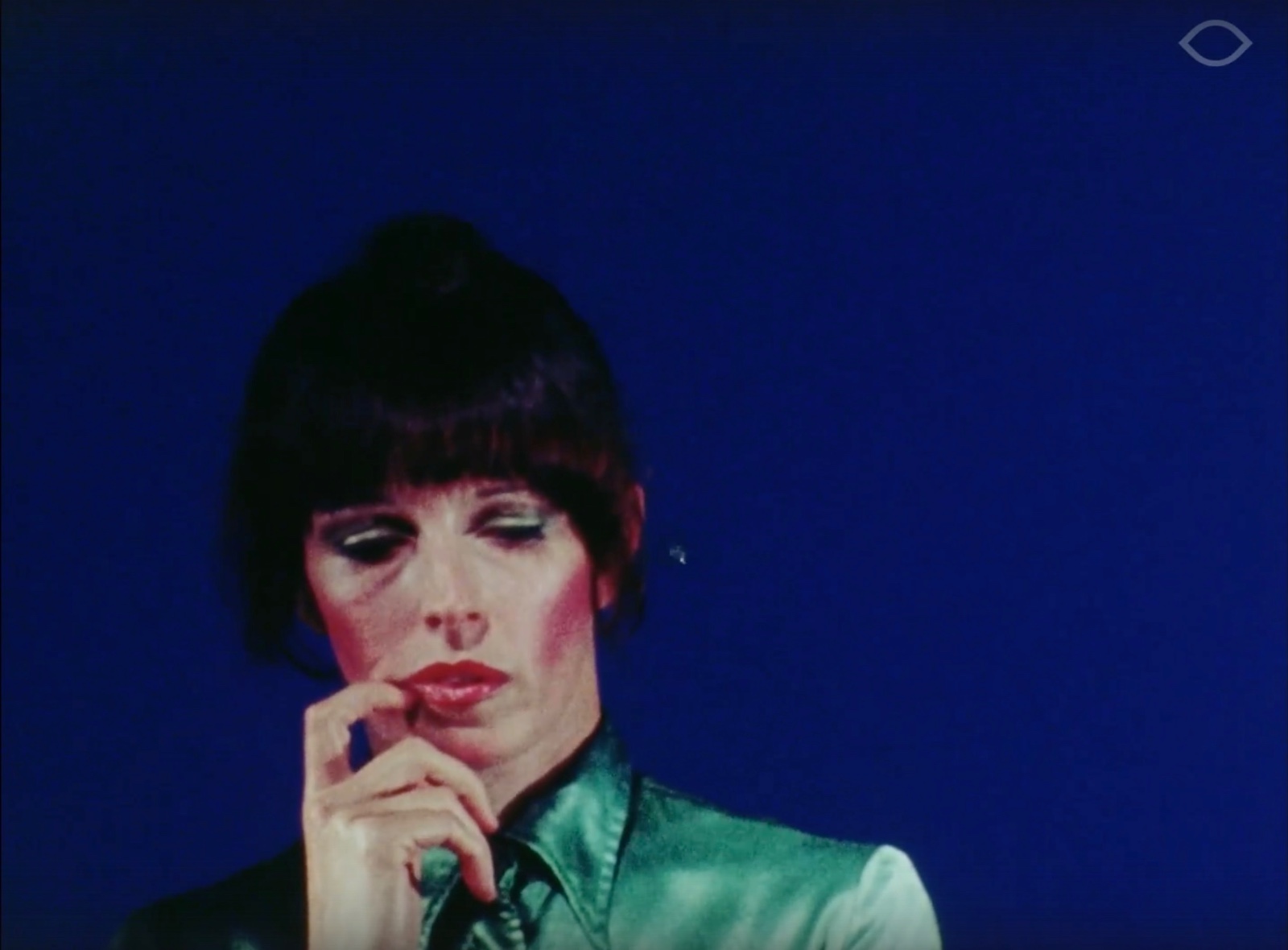 Hollywoods Leni Riefenstahl 2